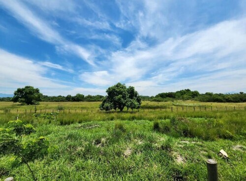 Lote rural desocupado - paciência - rio de janeiro/rj
