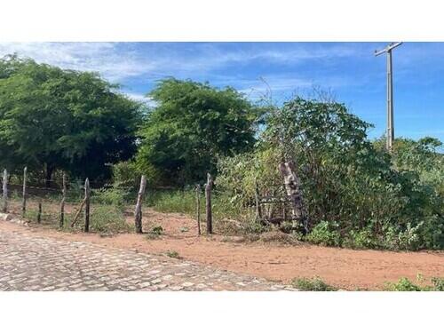 Terreno Desocupado - Mel De Baixo - Areia Branca/rn, localizado em Areia Branca - RN