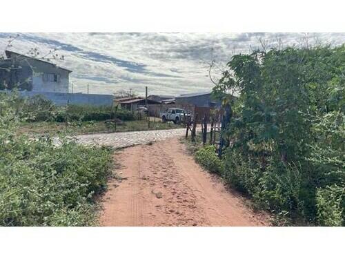 Terreno Desocupado - Mel De Baixo - Areia Branca/rn, localizado em Areia Branca - RN