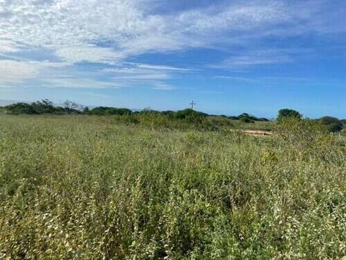 Terreno Desocupado - Mel De Baixo - Areia Branca/rn, localizado em Areia Branca - RN