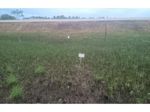 3376 Lote 006 Terrenos - Vila Rica Do Abais - Itaporanga D’ajuda/se