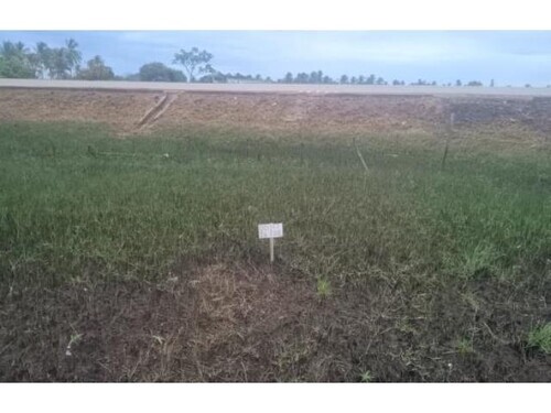 Lote 053 Terrenos - Vila Rica Do Abais - Itaporanga D’ajuda/se