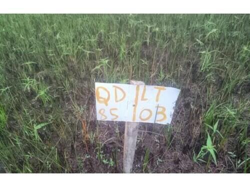 3395 Lote 071 Terrenos - Vila Rica Do Abais - Itaporanga D’ajuda/se, localizado em Itaporanga D'ajuda - SE