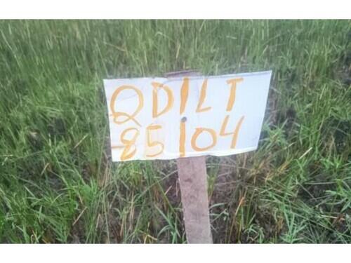 3395 Lote 071 Terrenos - Vila Rica Do Abais - Itaporanga D’ajuda/se, localizado em Itaporanga D'ajuda - SE