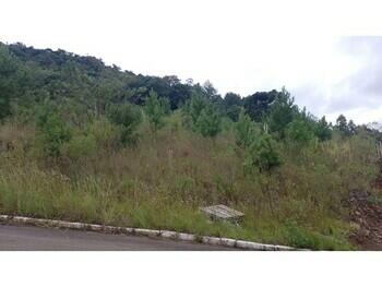 Terreno DESOCUPADO na Linha Brasil, Nova Petrópolis RS