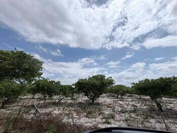 Lote DESOCUPADO em Tiririca, Pacajus, CE