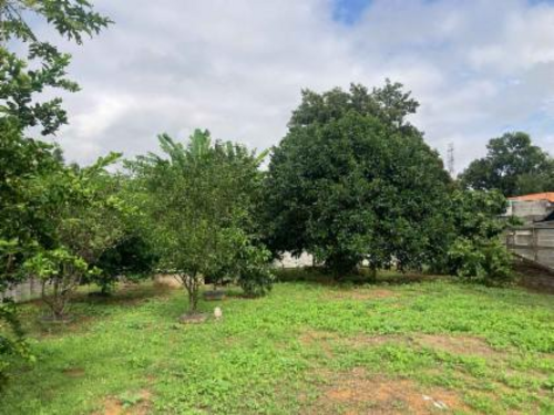 Casa com 3 quartos no Nossa Senhora Do Perpétuo Socorro (foto 18 de 30)