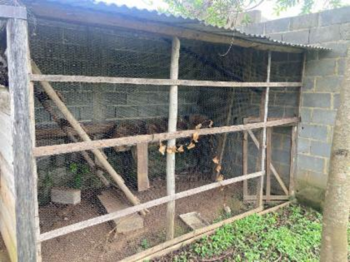 Casa com 3 quartos no Nossa Senhora Do Perpétuo Socorro (foto 30 de 30)