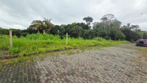 Imagem 4