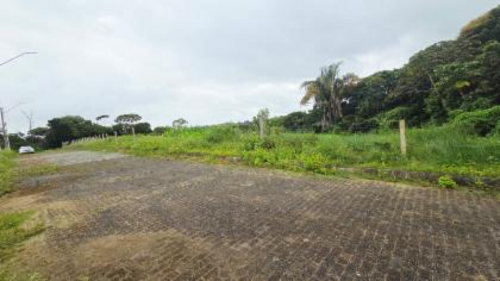 Imagem 12