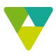 Logo Icone